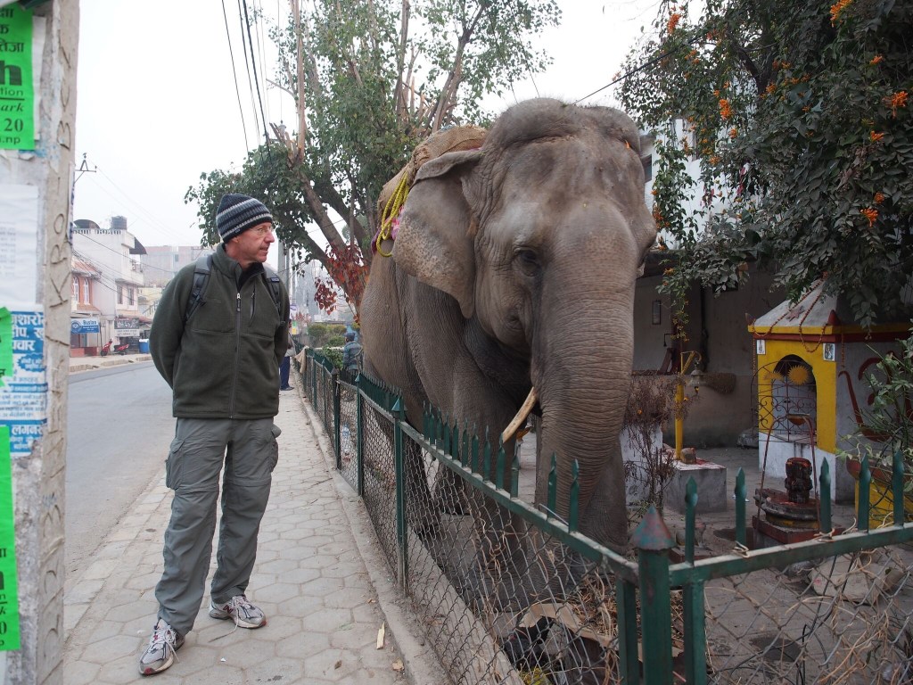 Nepal.Jf.Elephant.2016.1 - 1